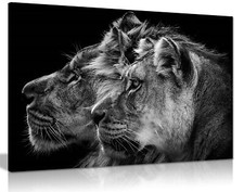 Black & White Lion and Lioness portrait Framed Canvas Print Wall Art Home Decor