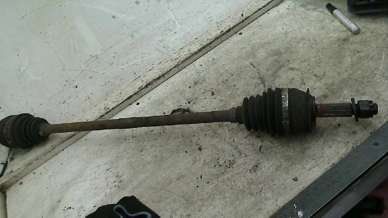 Afbeelding 3 van 3