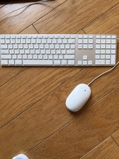 Apple USB Wired Keyboard Mighty Mouse A1152 A1243 Used 4DU1A