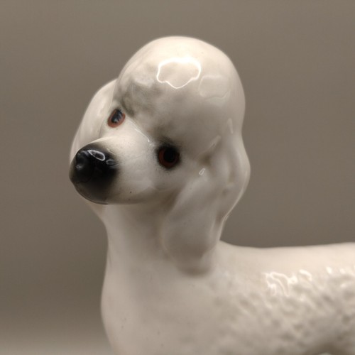 Vintage 1970s Ceramic White Poodle Ornament Figurine Unmarked H16cm W15cm VGC - Picture 2 of 7