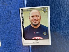 PANINI FOOTBALLERS 2005/06 UDINESE COSMI 460 NEW ***