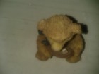 Bild 9 von 10