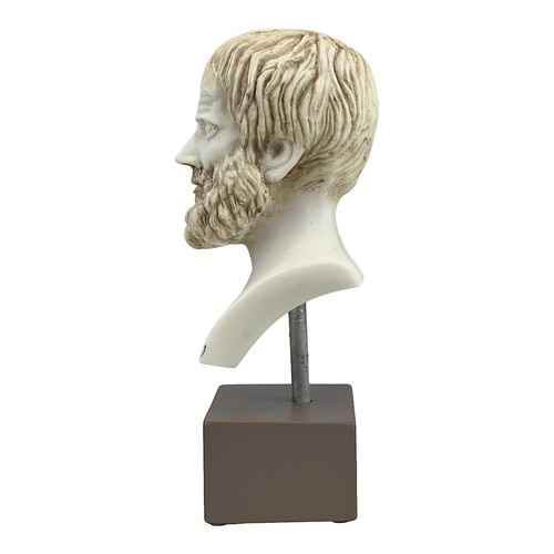Aristotle Greek Philosopher Scientist Bust Head Statue Sculpture - Picture 3 of 14