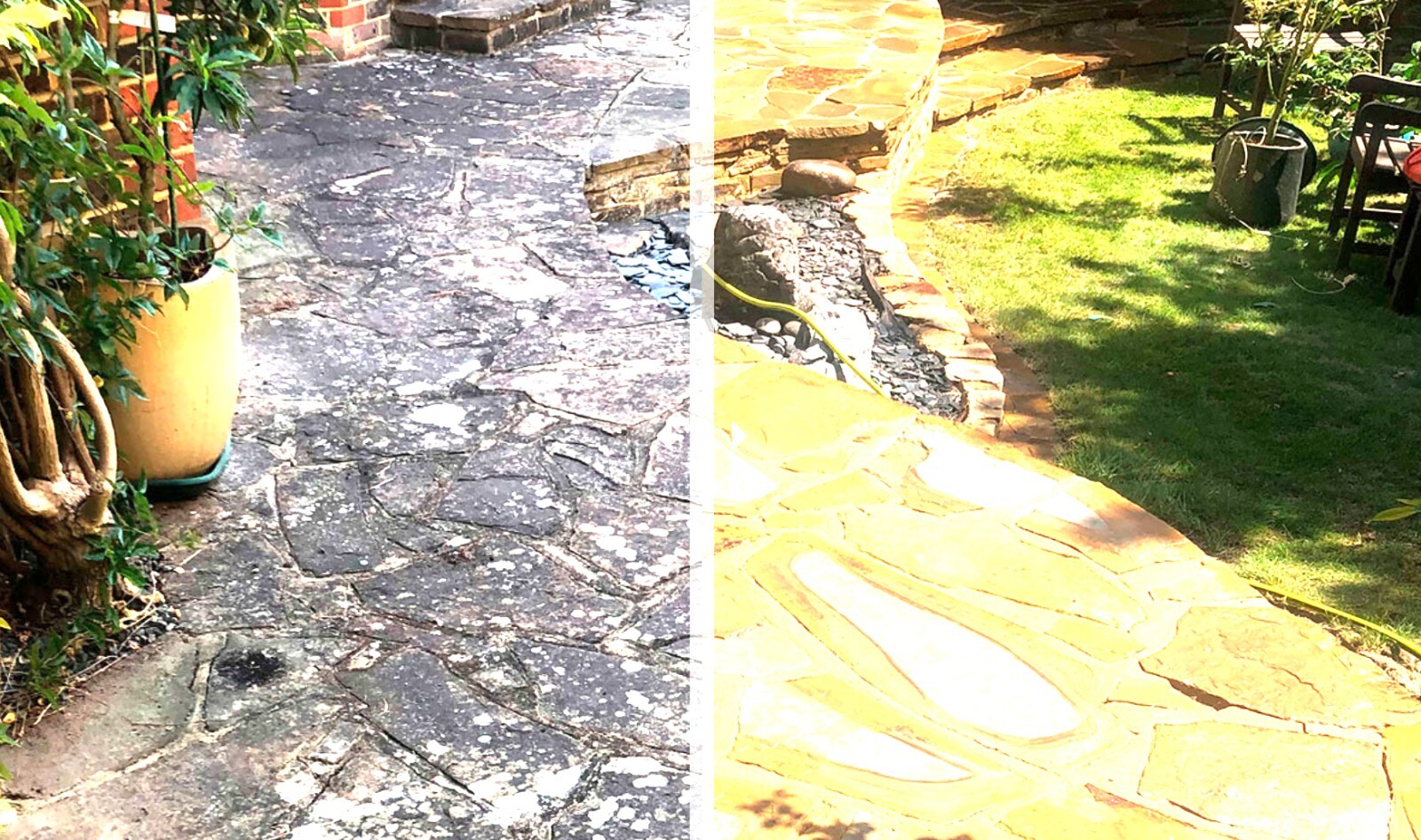 Frank's Patio Black Spot Cleaner Lichen Remover Algae Green Mould Moss