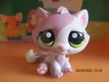 Petshop Chat de Gouttière #1660