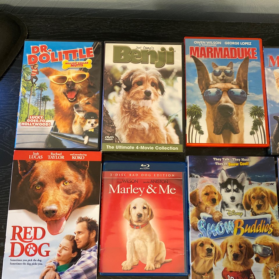 Dog Themed DVD Lot of 11 pre owned. Snow Buddies, Red Dog, Dr ...