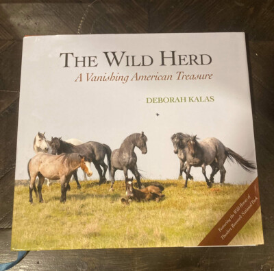 Wild Herd : A Vanishing American Treasure, Hardcover by Kalas, Deborah