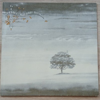 Charisma Genesis Wind And Wuthering Vinyl LP Stereo 33 U/min 1976 9124 003