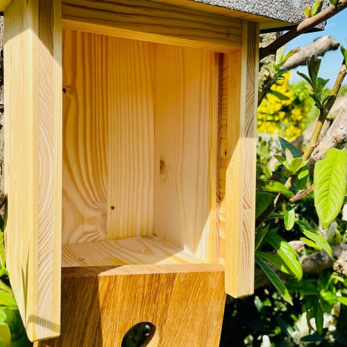 DARLUX Natur Holz Nistkasten für Kohlmeise u. kleine Singvögel Ø 32 mm - Bild 5 von 5