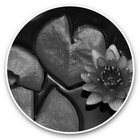 2 x Vinyl Stickers 20cm (bw) - Pretty Pink Lily Flower  #35642