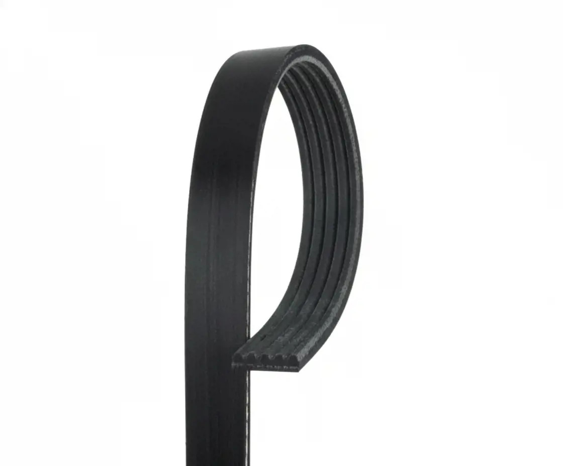 Nero Cinghia Poly-V Gates 5Pk716sf - Immagine 2