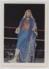 1988 Wonderama NWA Michael Hayes #44 0w6