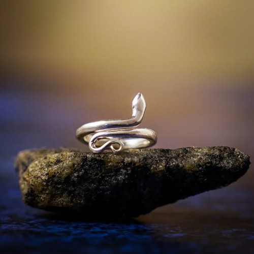 Isha Life Snake Ring Consecrated Silver Ring sadhguru (Snake Ring/Sarpasutra)-M - Picture 6 of 9