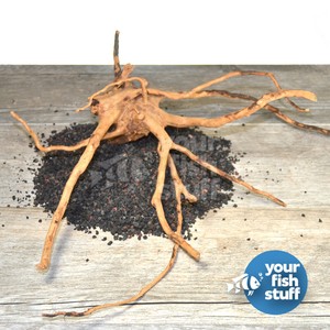 spider wood aquarium