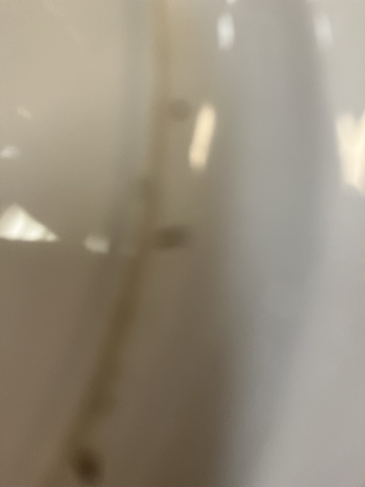 Picture 11 of 11