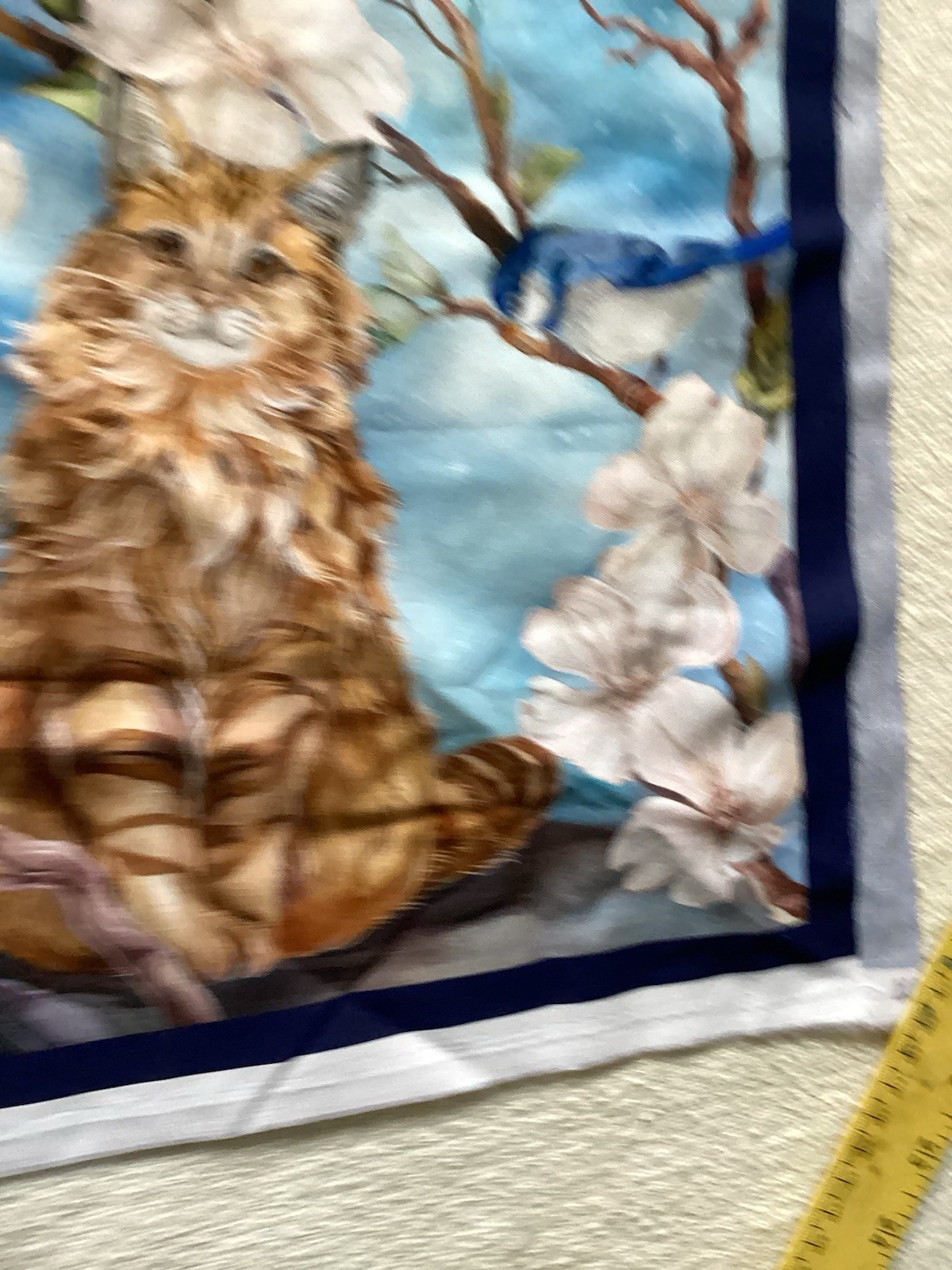Picture 5 of 7