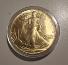 Colorized 1987 American Silver Eagle 1 Ounce .999 Fine Exact Coin Shown