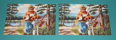 Vintage Smokey The Bear Postcard Illustrated Forest Fires Childrens Fire Safety