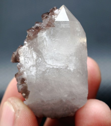 29.5g New find beautiful Rare Scheelite Mineral Specimens/China - Picture 7 of 10