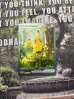 Pokemon Pikachu ex sir 277/217 Ascended Heroes