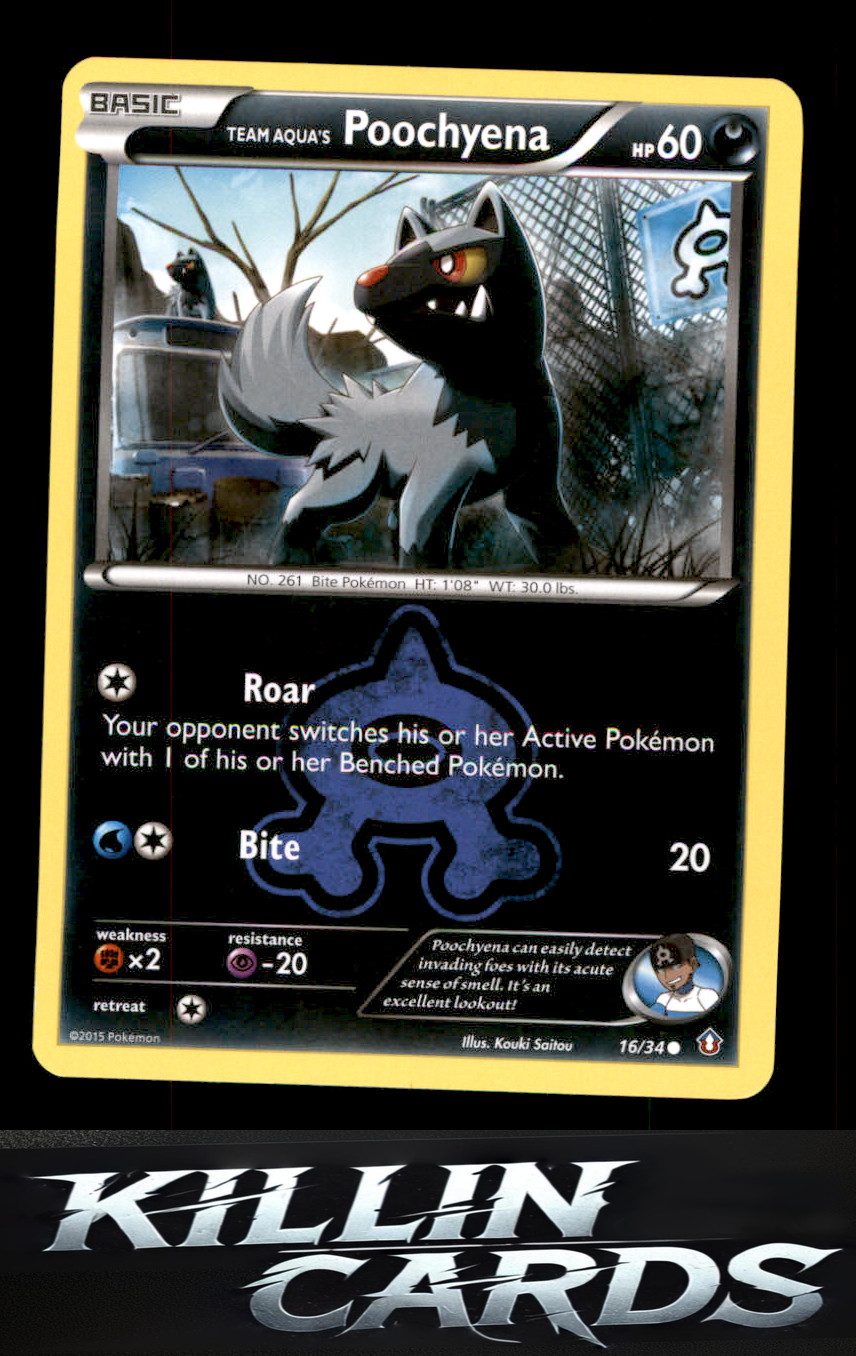 Team Aqua's Poochyena