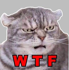 Angry Cat Car Decal-Bumper Sticker-5 inch-WTF
