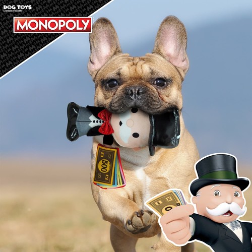 Money Monopoly Dog Toy Squeak & Crinkle Toy Ideal Novelty Toy For Your Dogs - Picture 3 of 7