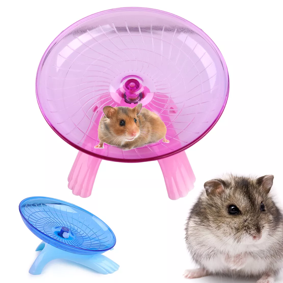 Hamster wheel cheap ebay