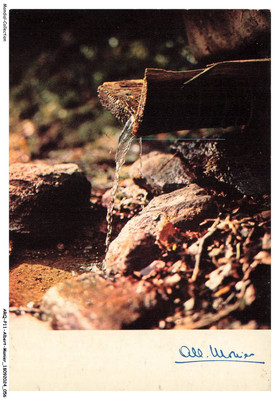 ARQP11-0738-ALBERT-MONIER - Prestige de la terre - l'eau vive