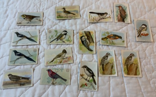 Antique Ephemera, Victorian Trade Cards, Ephemera, 16,  Useful Birds Of America