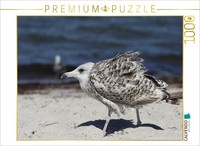 Calvendo Puzzle I'm Already Gone | 1000 Pieces, Finished Size 25.2 × 18.9 In (64