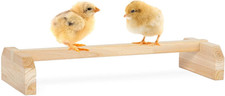Chick Roosting Bar Prevent Rotation Design, Solid Wooden Thicken Rooster Perch f