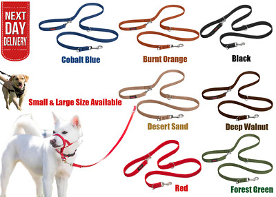 Halti Dog Lead Dog Training Lead Double Ended Dog Leash for No Pull Harness  UK