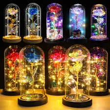 ON SALE!! Rose LED Light Glass Gifts for Wife Women Her Girlfriend Birthday Gift