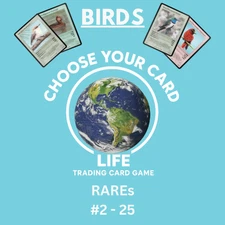 Life TCG Birds - Pick Your Card - Rares