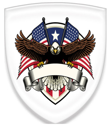 Eagle 2 x Stickers 3D Gel American Domed Decals Car Moto Emblem Badge Aufkleber