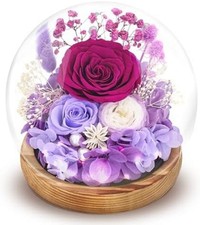 Preserved Flowers Roses in Glass Dome, Forever Flowers for Delivery Prime, Etern