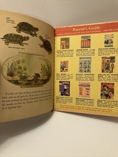 The Wonder Book of TURTLES by Eve Morel 1964 Wonder Book Cynthia Koehler - Picture 13 of 13