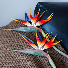 Artificial Flowers Bird of Paradise 37'' Large Latex Fake Greenery Plants Long S