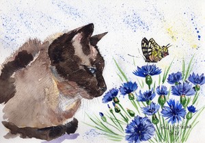 Cat-And-Butterfly-original-watercolor-animal-painting-pet-kitty-kitten-art