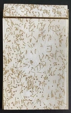 Vitg Park Sherman Desk Top Brass Memo Note Paper Pad Holder MCM White Porcelain