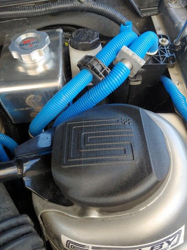 Shelby Performance Parts ISO Clutch Upgrade For 2005-2009 Ford Mustang GT500/GT - Picture 5 of 12