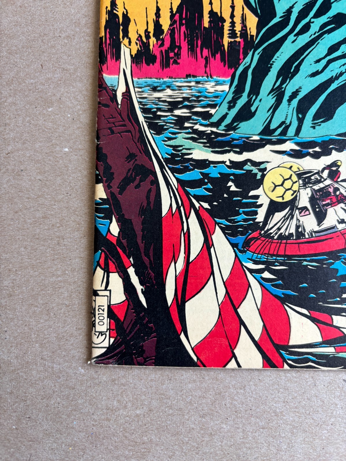 Picture 5 of 13