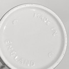 Foto 10 di 10