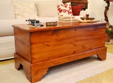 Cassapanca in Legno massello Baule in stile Vintage con contenitore Noce Antico