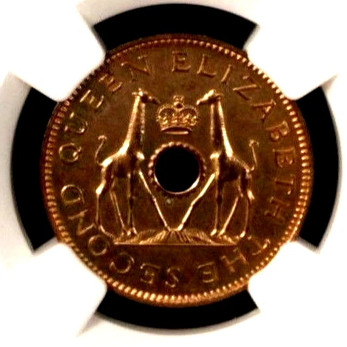 Rhodesia & Nyasaland 1/2 Penny 1955  NGC PF 64 RB UNC Bronze Elizabeth II