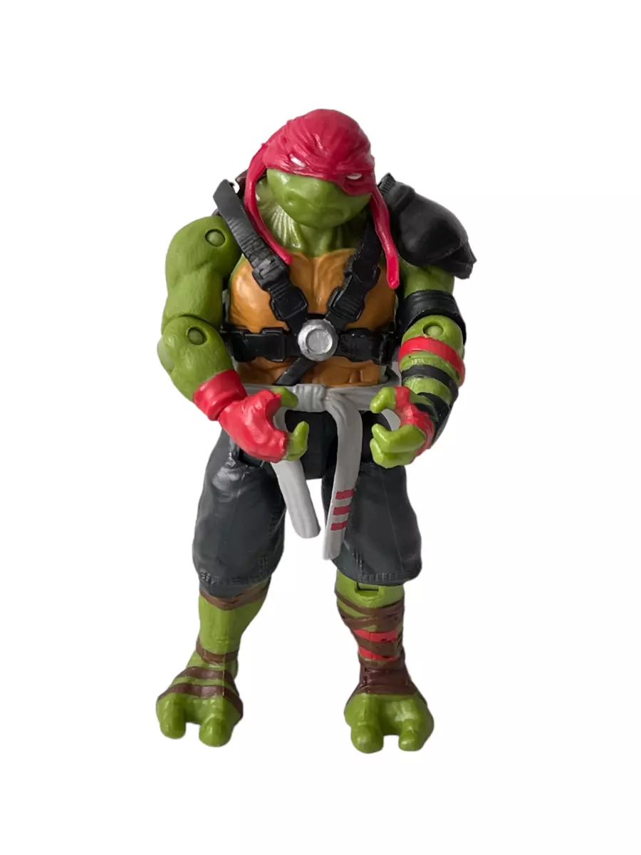 Raphael from Teenage Mutant Ninja Turtles