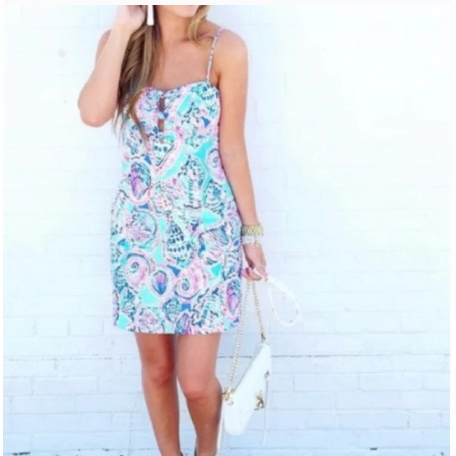 Lilly pulitzer petra best sale dress