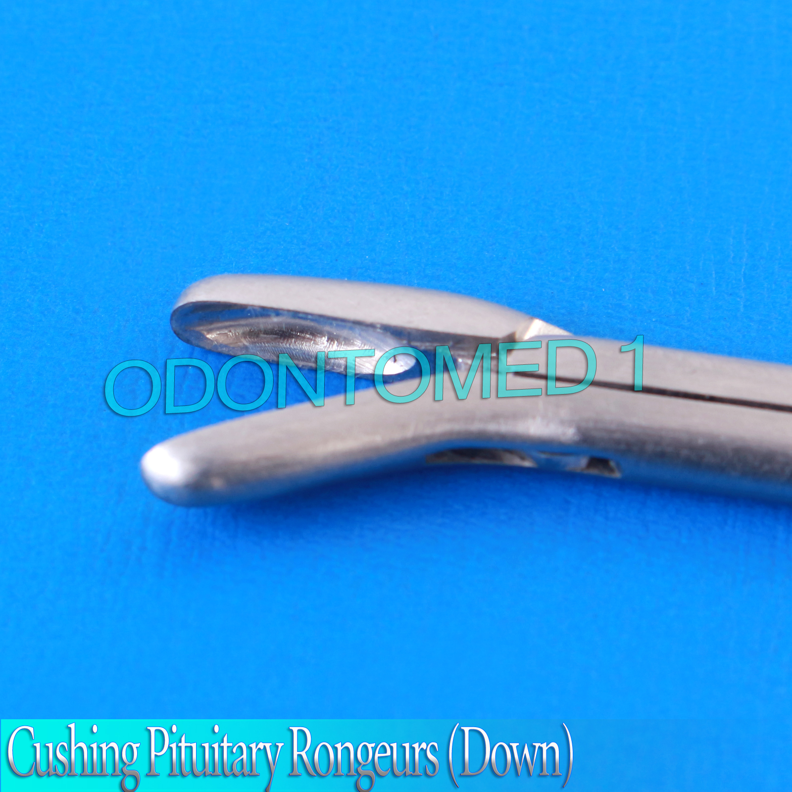 3 Pcs Cushing Pituitary Rongeurs 8