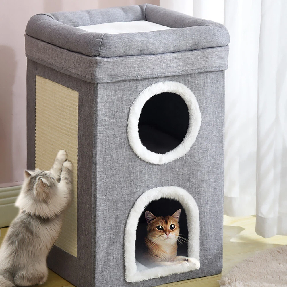 The cat cave 2025